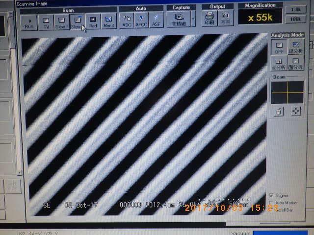日立 S-3000N の高倍率の観察像