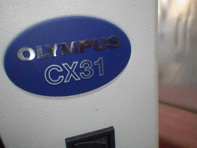 CX31の名盤写真
