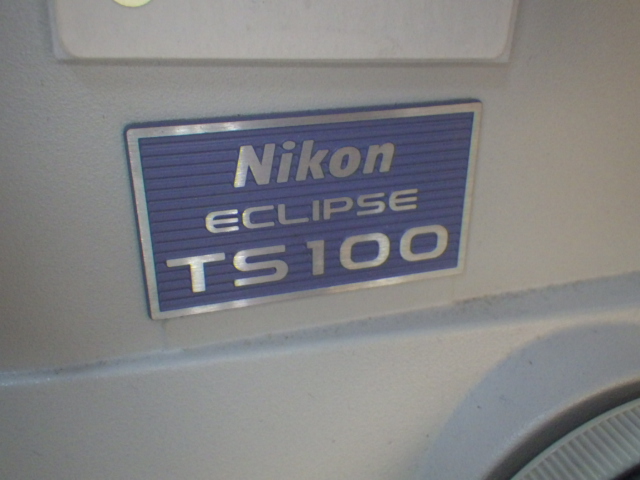 ECLIPSE TS100の名盤写真