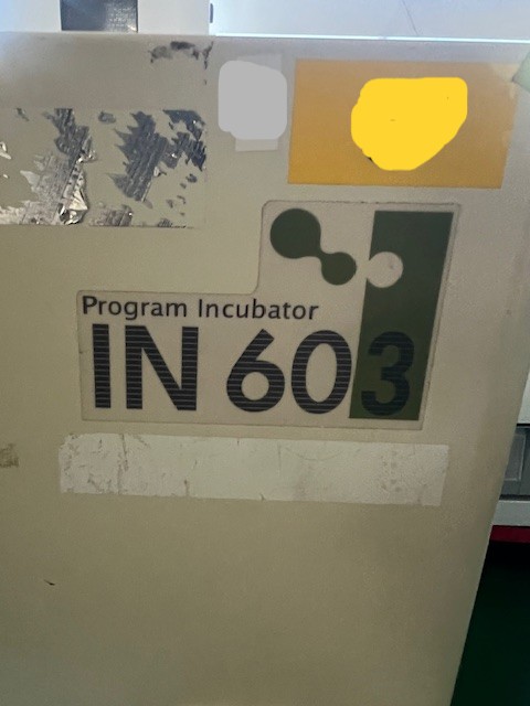 IN603の名盤写真