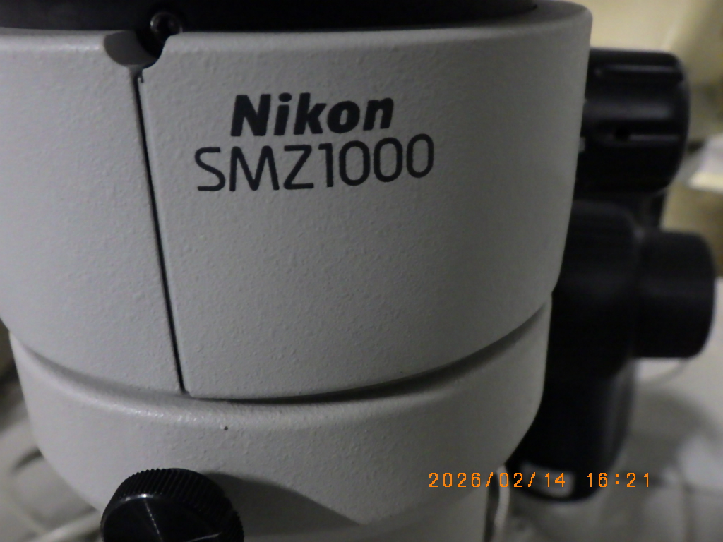 SMZ1000の名盤写真