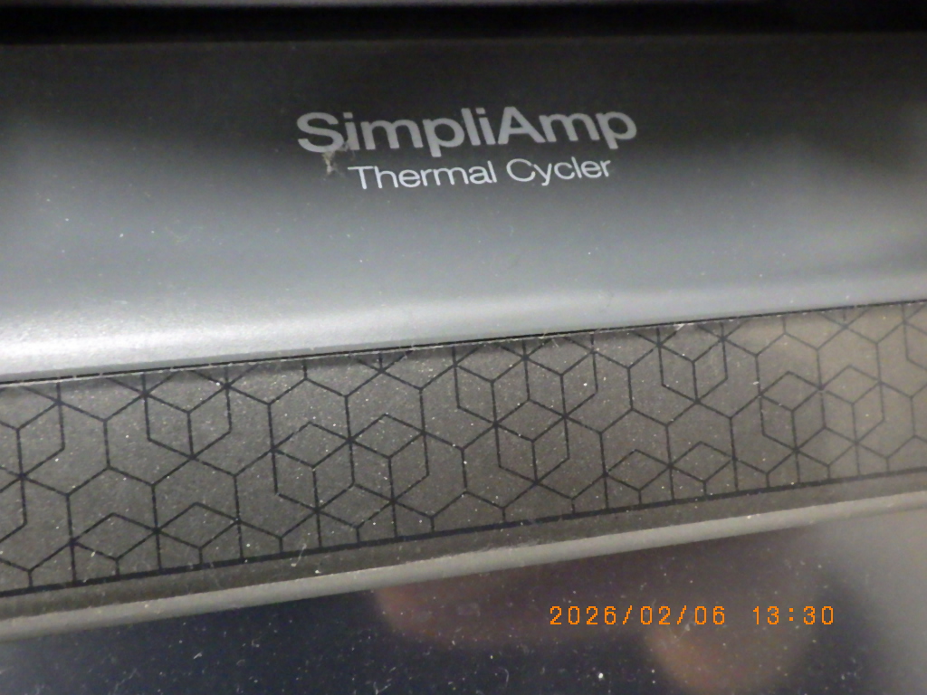 Simpliampの名盤写真