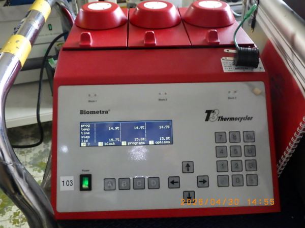 T3 Thermoblockの在庫写真