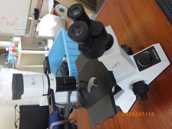 CKX31の在庫写真