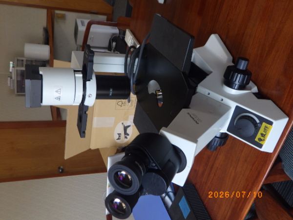 CKX31の在庫写真