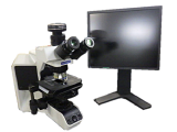 顕微鏡の代表写真