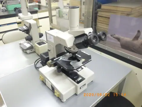 BIOPHOT（ニコン Nikon）の中古在庫写真