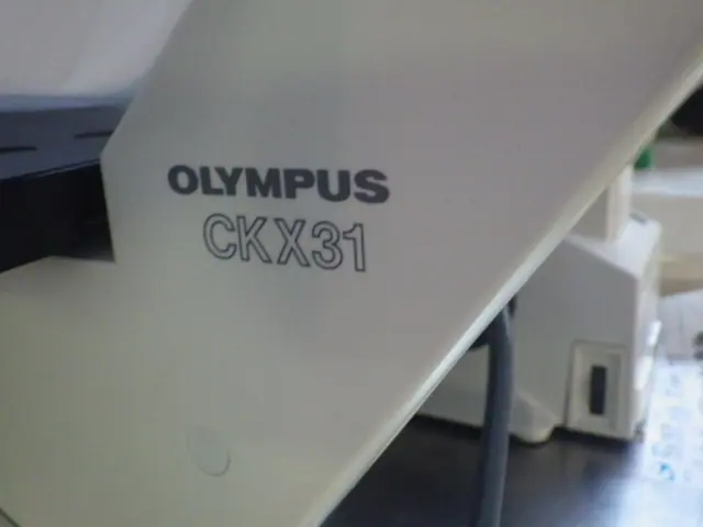 オリンパス Olympus CKX31SF 銘板写真(2/2)