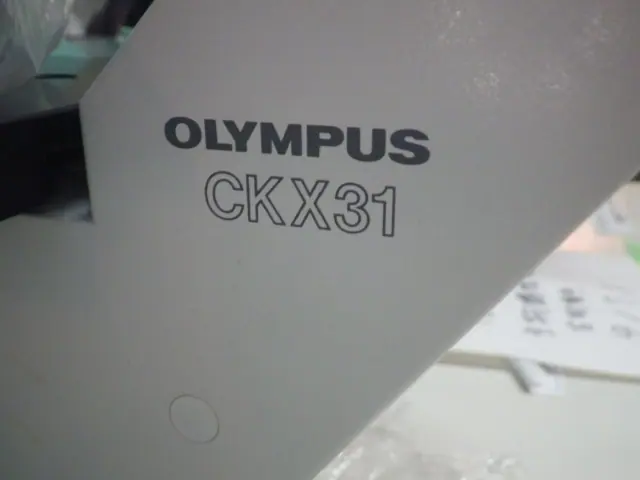オリンパス Olympus CKX31SF 銘板写真(2/2)