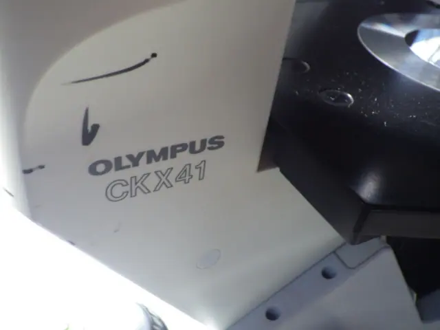 オリンパス Olympus CKX41SF 銘板写真(2/2)