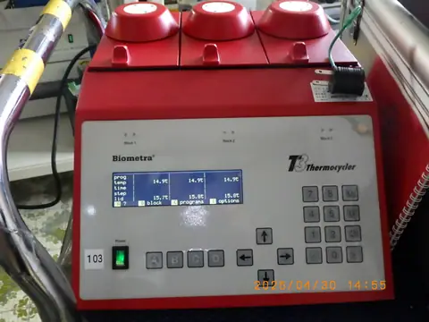 T3 Thermoblock（Biometra）の中古在庫写真