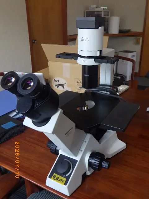 CKX31（オリンパス Olympus）の中古在庫写真