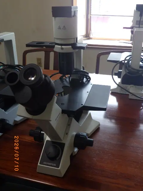 CKX31（オリンパス Olympus）の中古在庫写真