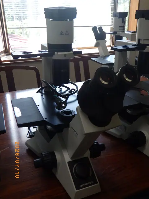 CKX31（オリンパス Olympus）の中古在庫写真